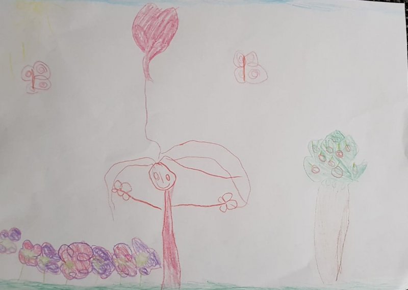 bild2