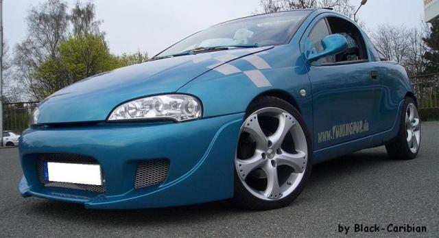 tigra-danny